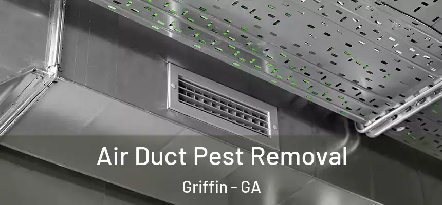  Air Duct Pest Removal Griffin - GA