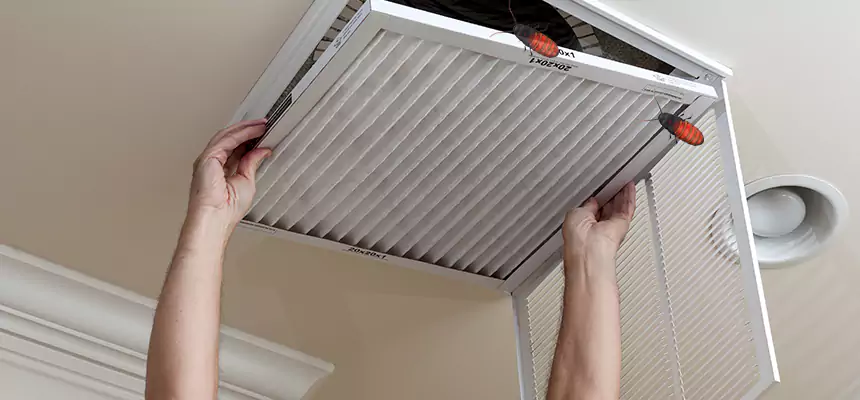 Preventive Cockroach-Proofing for Ducts in Griffin