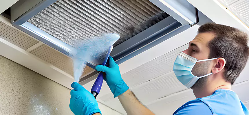 Proactive Dryer Vent & Auxiliary Duct Pollen Cleanup in Griffin, GA