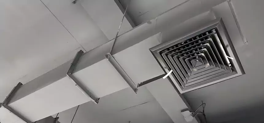 Our Rodent Droppings In Vents Services in Griffin, GA