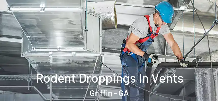  Rodent Droppings In Vents Griffin - GA