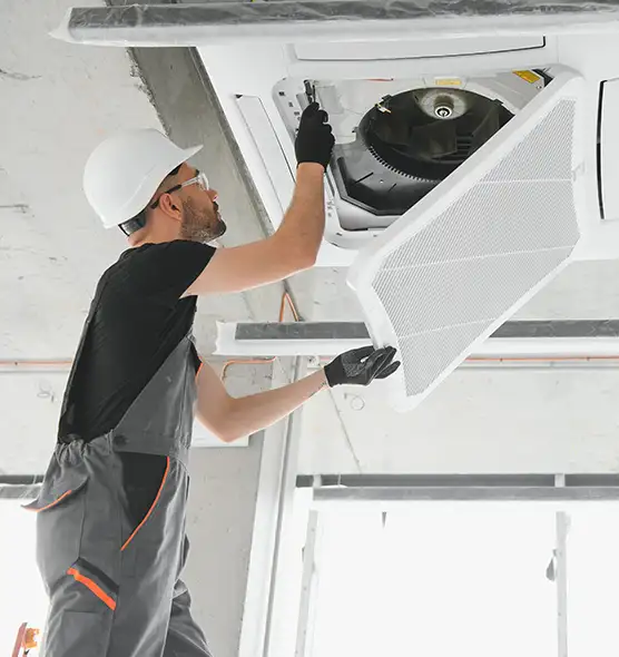 About Air Duct Rodent Removal in Griffin, GA