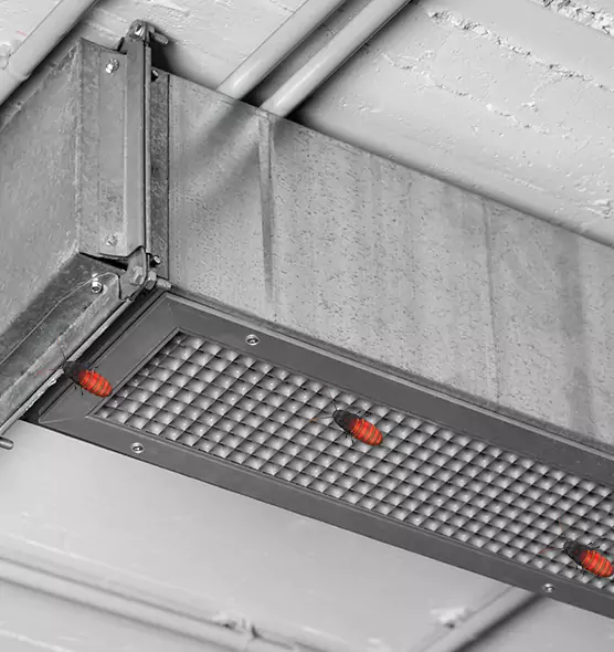 Affordable Insect Removal from Air Ducts in Griffin, GA