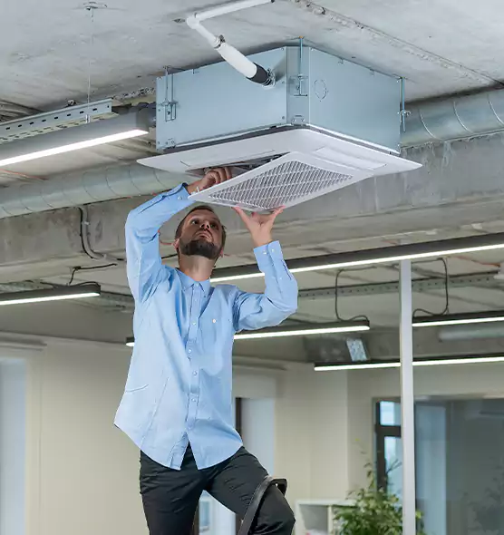 Advanced Rodent Droppings In Vents in Griffin, GA