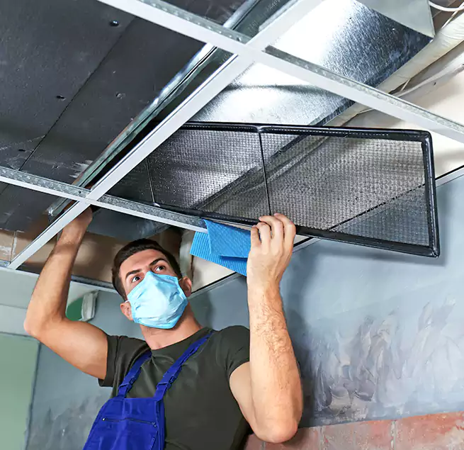 Why Homeowners Businesses Trust Us in Griffin, GA