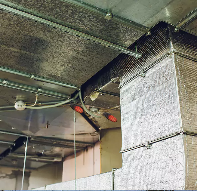 Why Homeowners & Businesses Trust Us Griffin, GA?